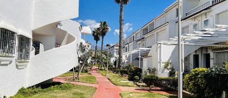 A pathway leading to a white building with balconies and a palm tree in the background.