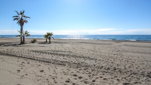 Una playa arenosa con huellas, palmeras y el océano.