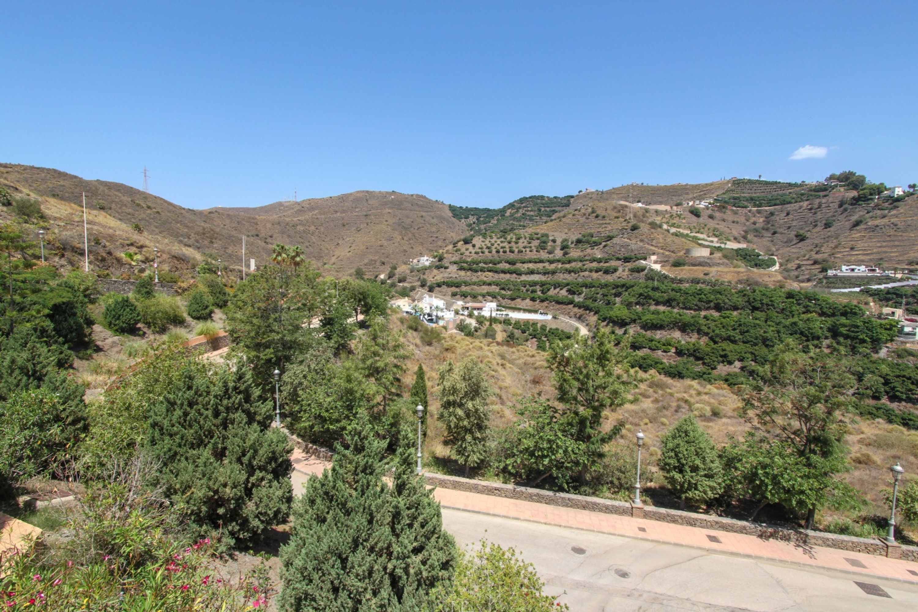 Un paysage vallonné avec des vignobles en terrasses, une route goudronnée et quelques bâtiments visibles au loin.