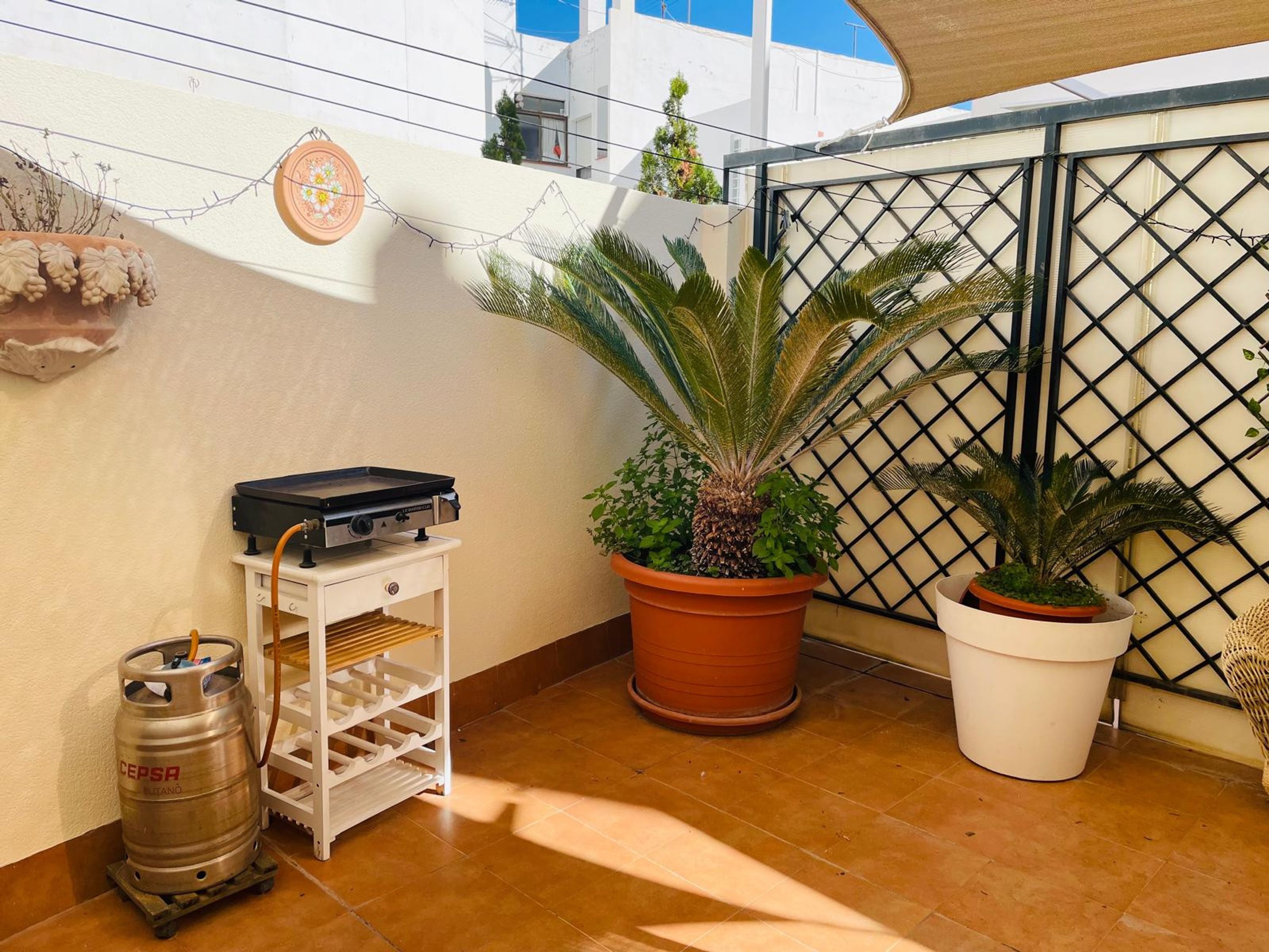 Un pequeño balcón con estufa a gas, una planta en maceta y un cilindro de gas metálico.