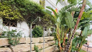 Un giardino con muri in pietra, una struttura metallica e diverse piante, tra cui palme da banana.