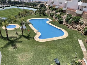 Una grande piscina dalle linee curve, circondata da prato ben curato e palme.