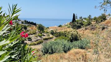 Căn hộ | 3 phòng ngủ