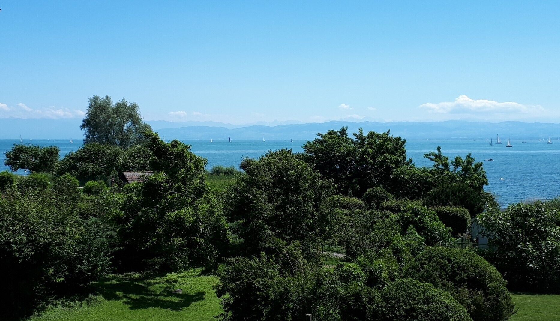 Eine Küstenlandschaft mit üppigem Grün, blauem Himmel und Segelbooten auf dem Wasser.
