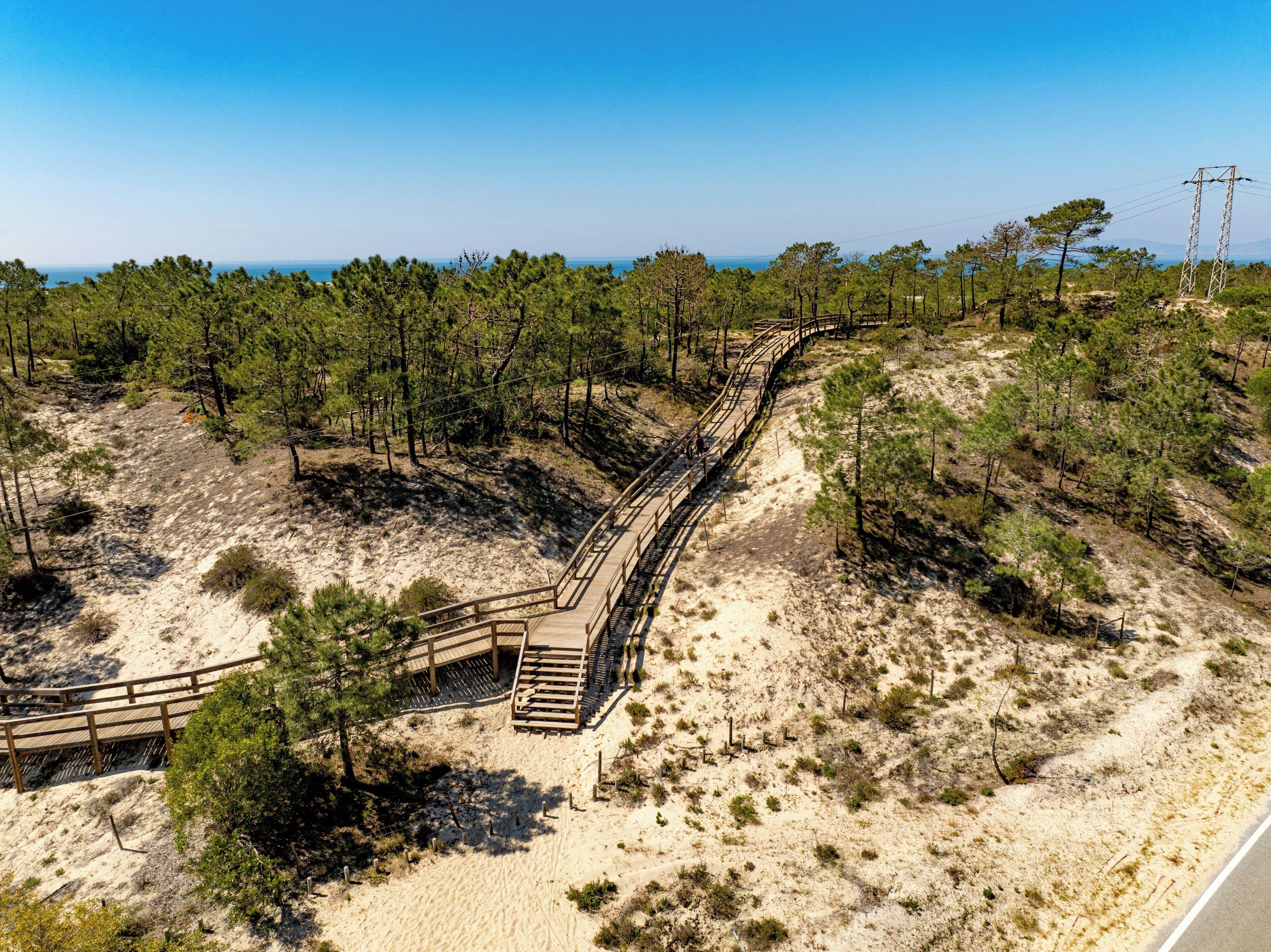 Une promenade en bois sinueuse traverse une zone sablonneuse où la végétation est clairsemée, sous un ciel dégagé.