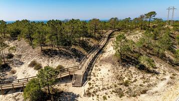 Une promenade en bois sinueuse traverse une zone sablonneuse où la végétation est clairsemée, sous un ciel dégagé.