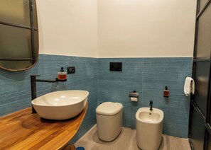 Shower, hair dryer, bidet, towels