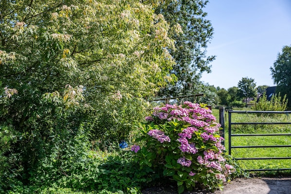 A rural landscape with a gate, dense foliage, and a bush of pink flowers.
