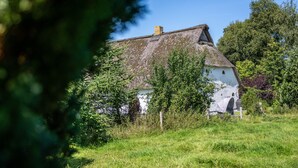 A white house with a thatched roof, surrounded by greenery and trees.