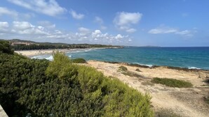 A coastal landscape with a beach, ocean, and greenery.
