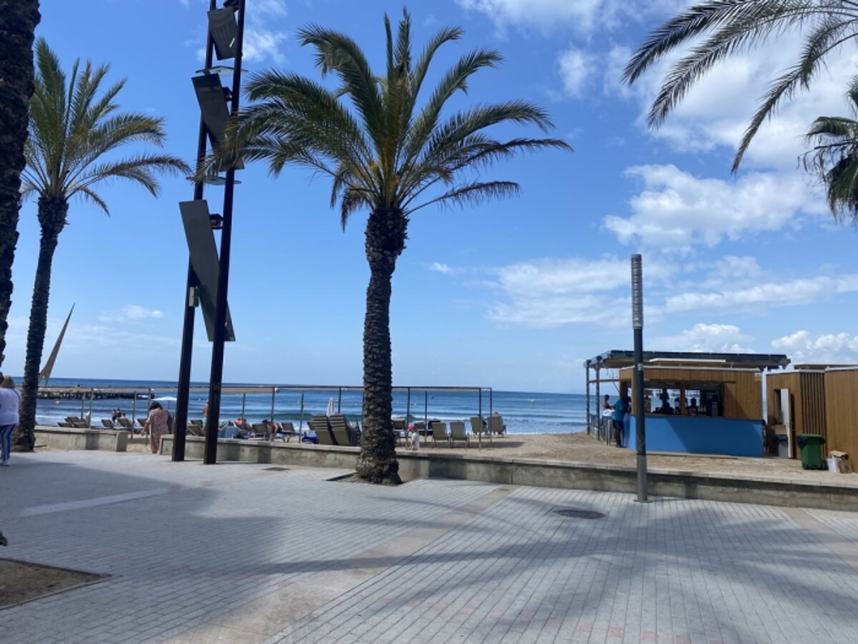 A beachside promenade with palm trees, a wooden structure, and a view of the ocean.