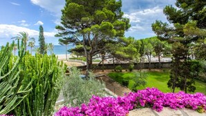 A landscaped garden with cacti, bougainvillea, and trees, a pathway, and a view of the sea. - Th06 Villa in Miami Platja 6 Bedrooms (Mont-roig del Camp)