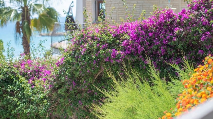 Th128 Villa la Mora con Vista al mar