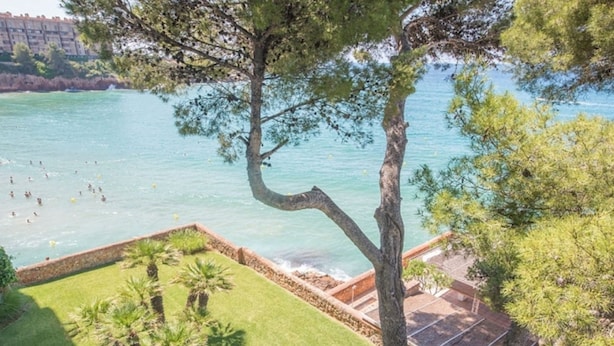 Vista de una zona costera con piscina, palmeras y un edificio al fondo.