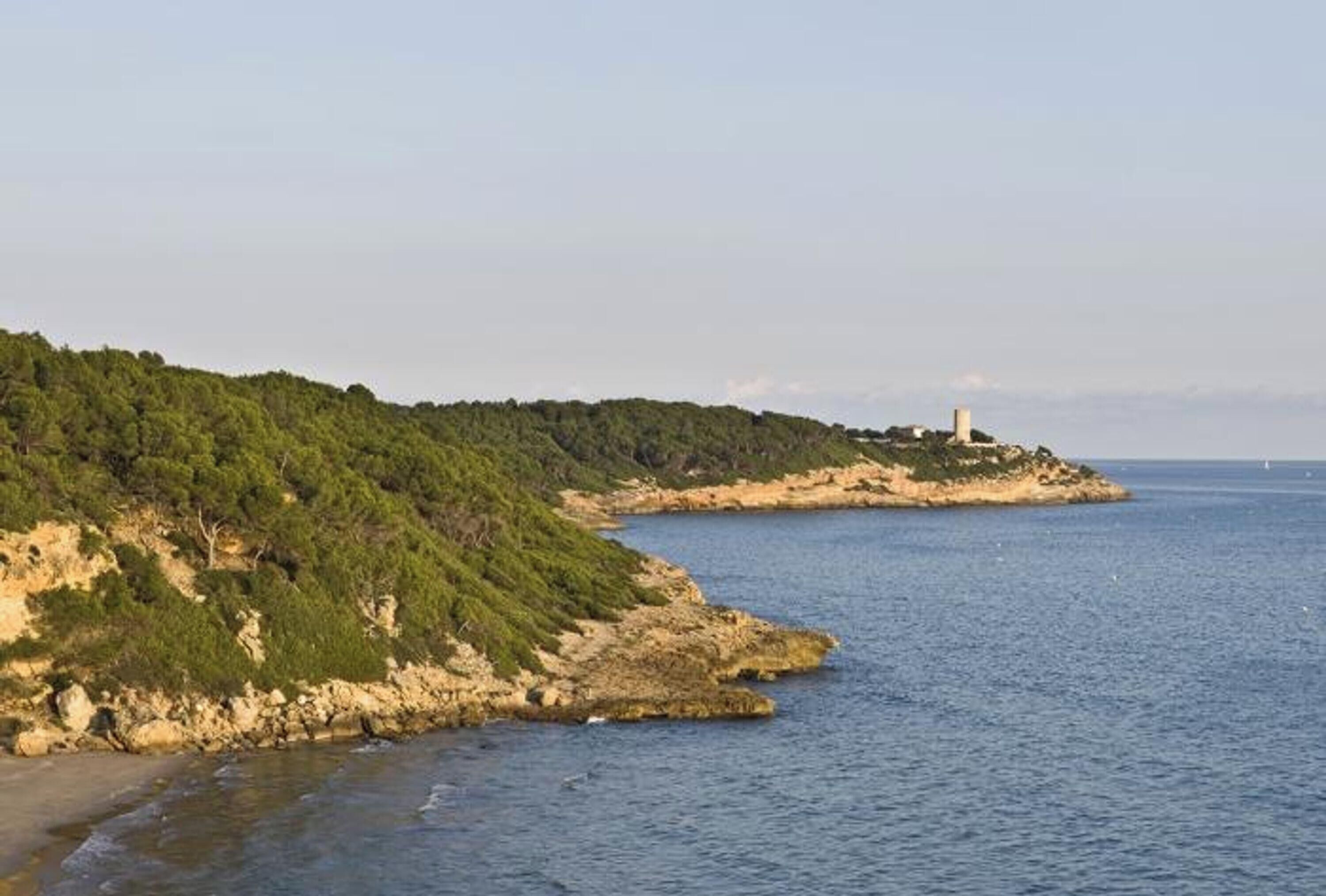 A coastal landscape with a rocky shoreline, dense greenery, and a lighthouse in the distance.