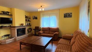 TV, fireplace, DVD player, ping pong