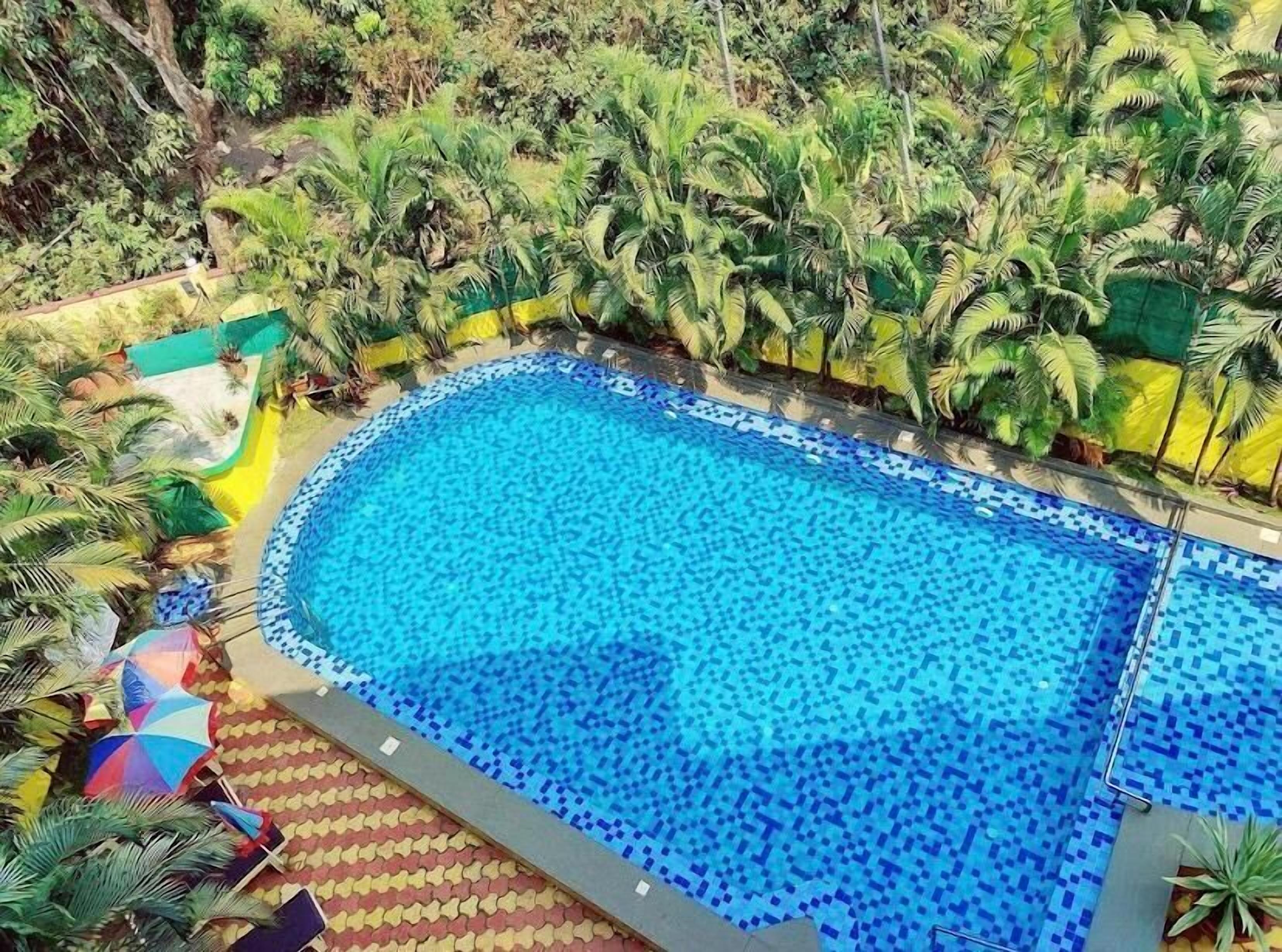 Una gran piscina al aire libre rodeada de exuberante vegetación y palmeras.