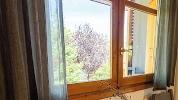 Classic Double Room, Balcony, Mountain View | In-room safe, iron/ironing board