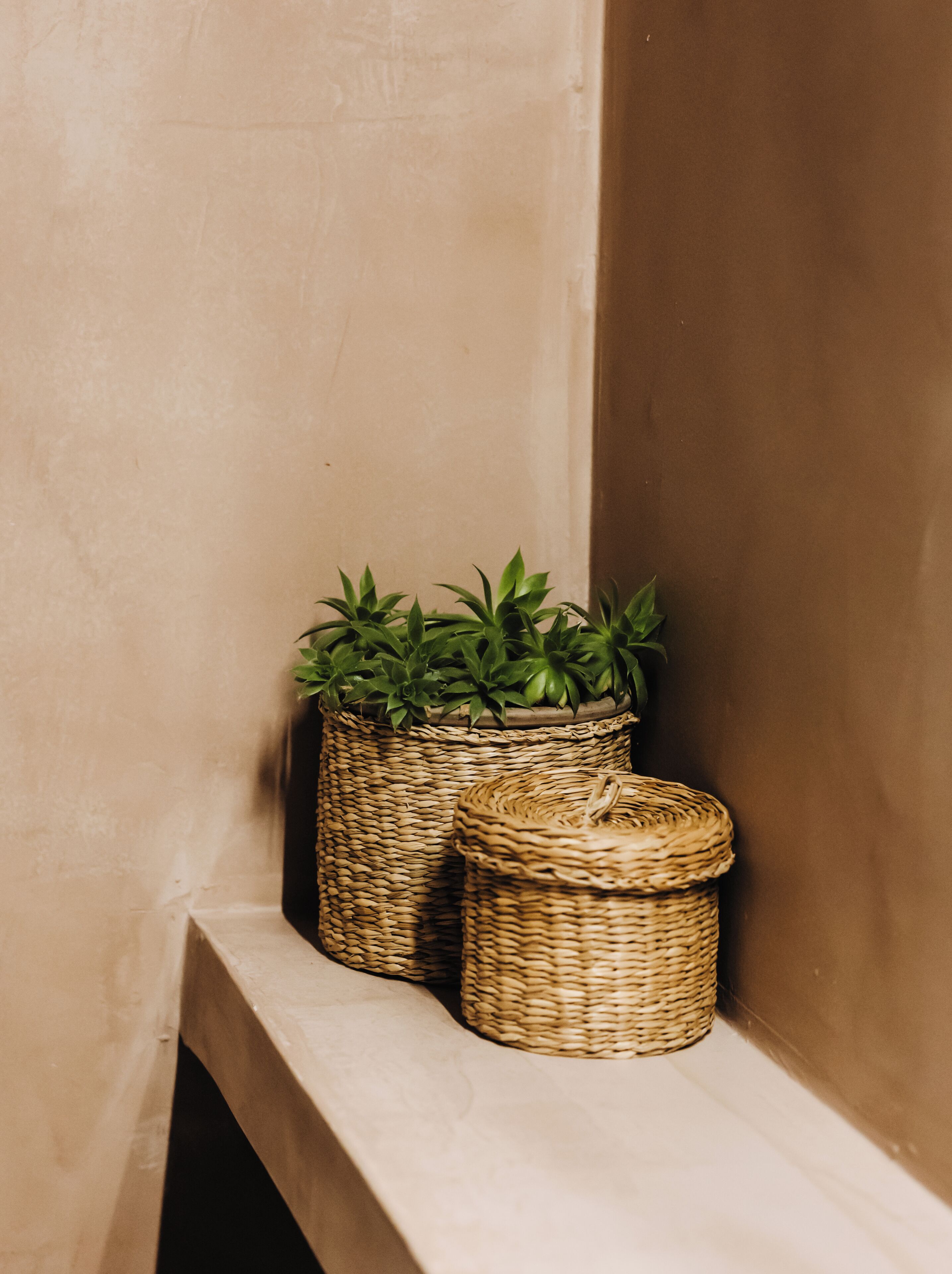 Two wicker baskets with plants on a shelf against a wall.