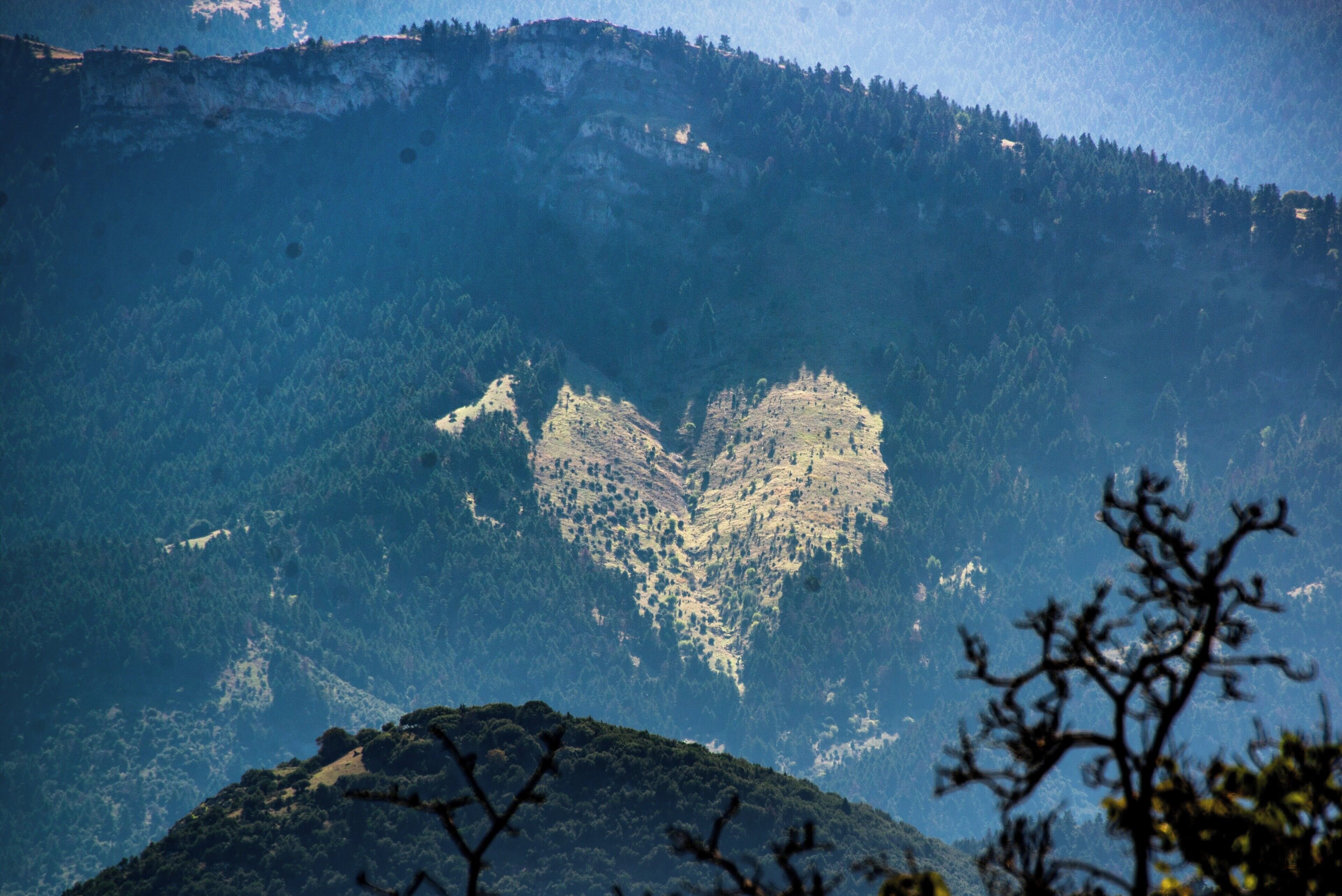 Un paisaje montañoso con un claro en el bosque con forma de corazón.