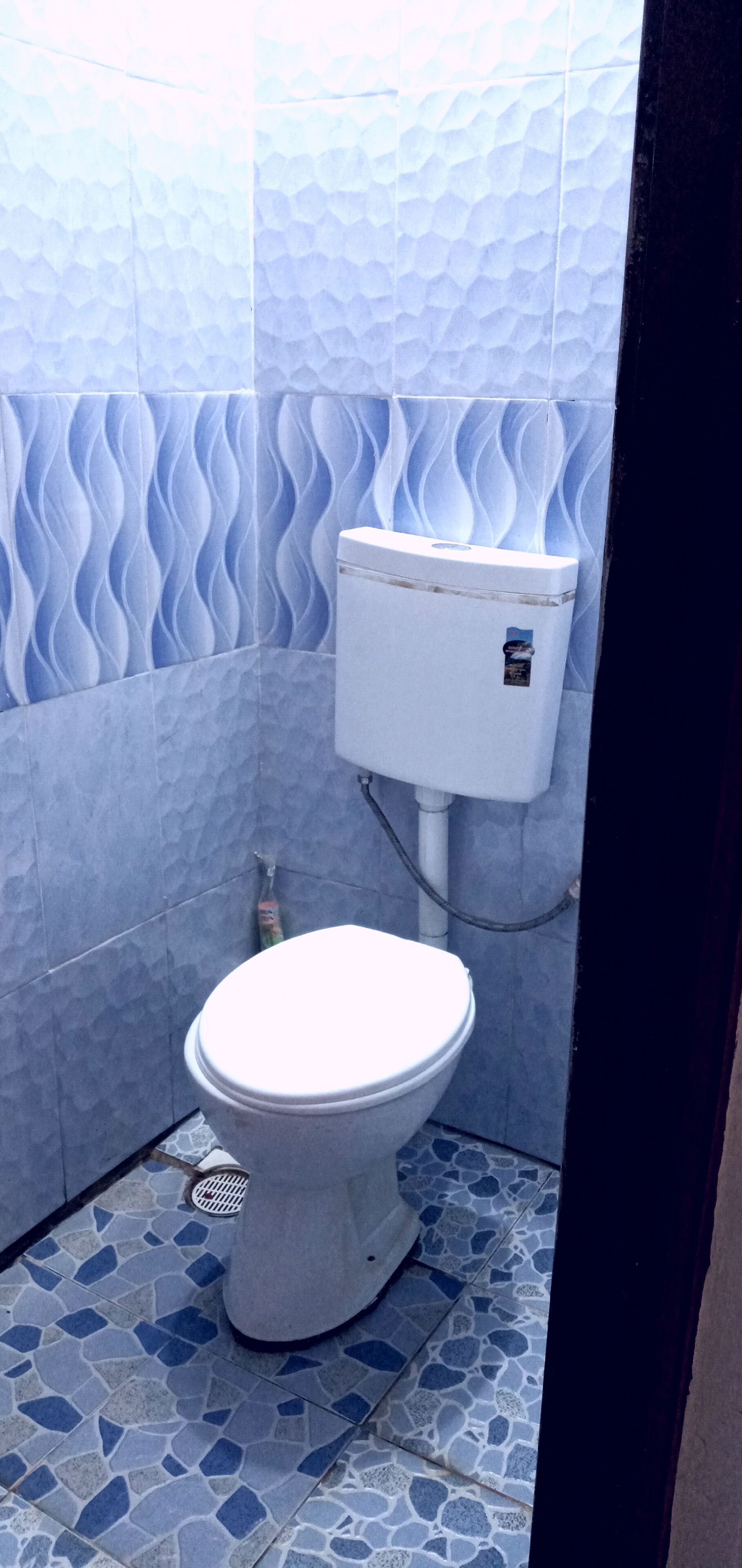 A bathroom with a white toilet, blue patterned walls, and a tiled floor.