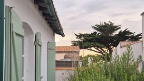 Un estrecho callejón con un edificio blanco, persianas verdes y tejado de baldosas.
