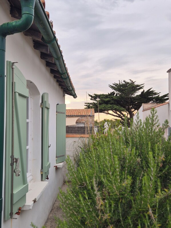 A narrow alleyway with a white building featuring green shutters and a tiled roof.