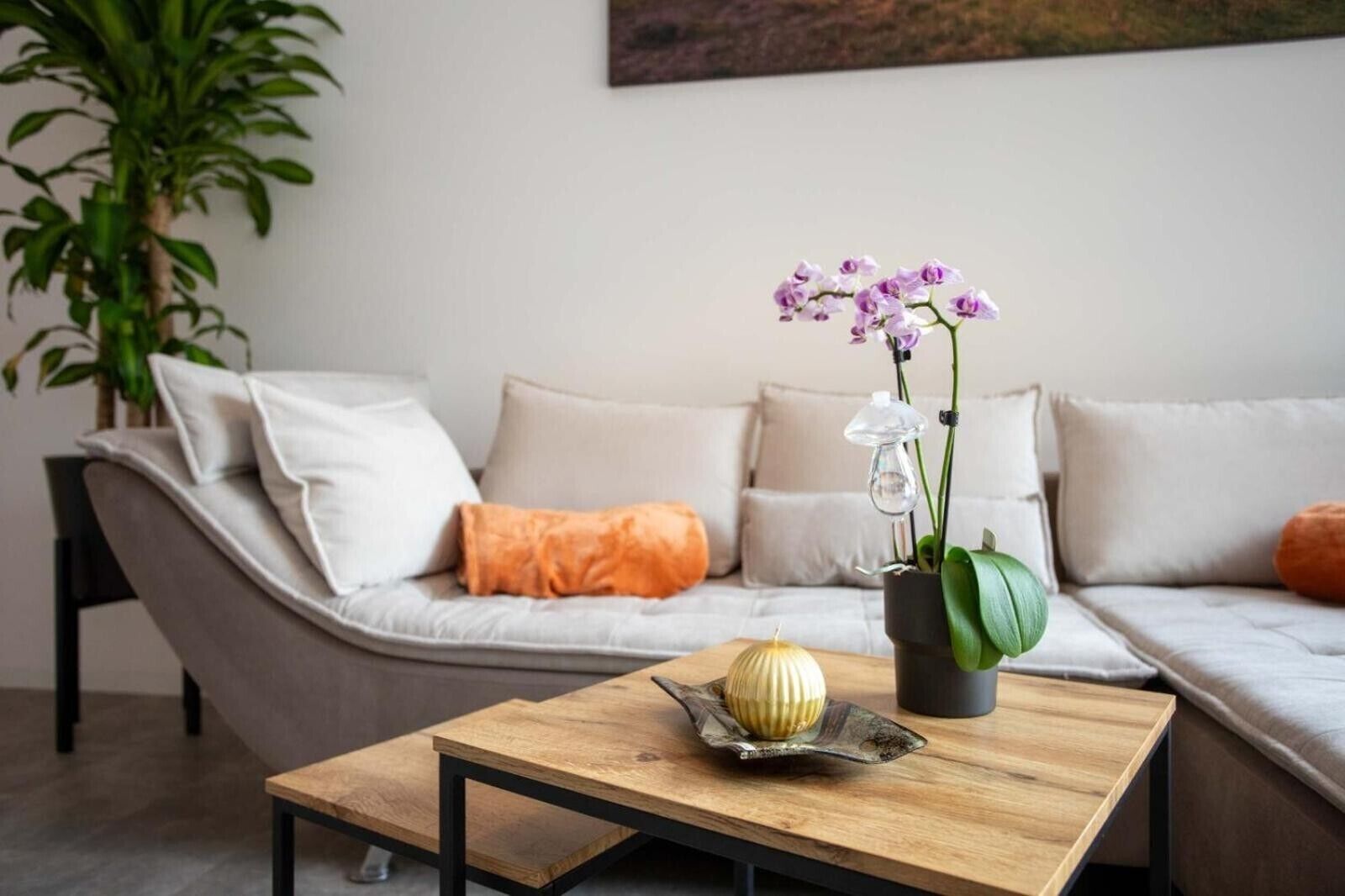Un salon moderne avec un canapé, des coussins, une table basse, une plante en pot et un luminaire suspendu.