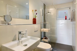 Shower, hair dryer, towels