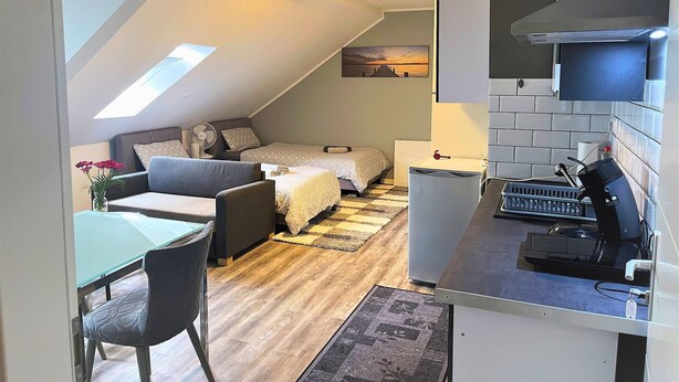 En kompakt och modern lägenhet i loftstil med matplats, litet kök och sovplats.