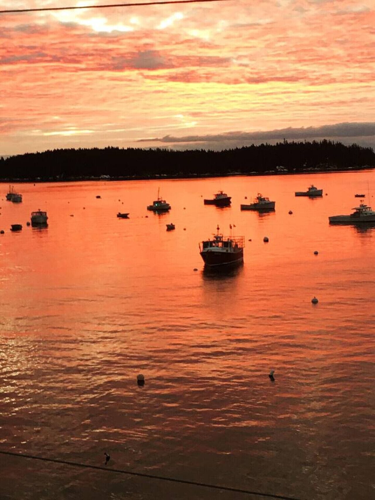 Satama auringonlaskun aikaan, useita veneitä ankkuroituna tyyniin veteen.
