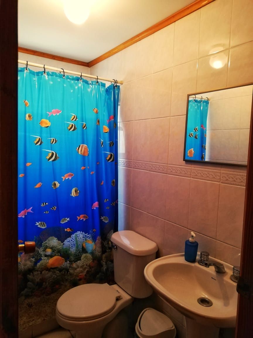 A bathroom with a blue shower curtain featuring fish patterns, a toilet, and a sink.