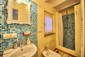 Shower, hair dryer, bidet, towels