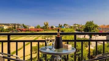 Classic Apartment, Balcony | View from room