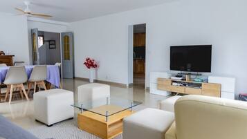 Smart TV, DVD player, ping pong, books