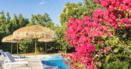 PARENTHESE ENSOLEILLĂE Villa pour 10 Ă 12 Personnes avec piscine, grand jardin