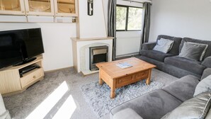 A modern living room with a flat-screen TV, a fireplace, a sofa, and a coffee table. - Springtime Lodge (Abergele)