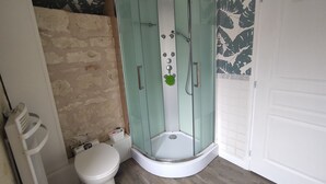 A bathroom with a glass-enclosed shower, a toilet, and a white door. - La petite massonnière (Beaumont-en-Véron)
