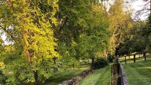 A stone wall running alongside a grassy path in a park. - 1791 Cabin on Historic Horse Farm (Bourbon County)