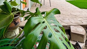 Un patio con techo de madera, una planta en maceta, una silla y una piscina.