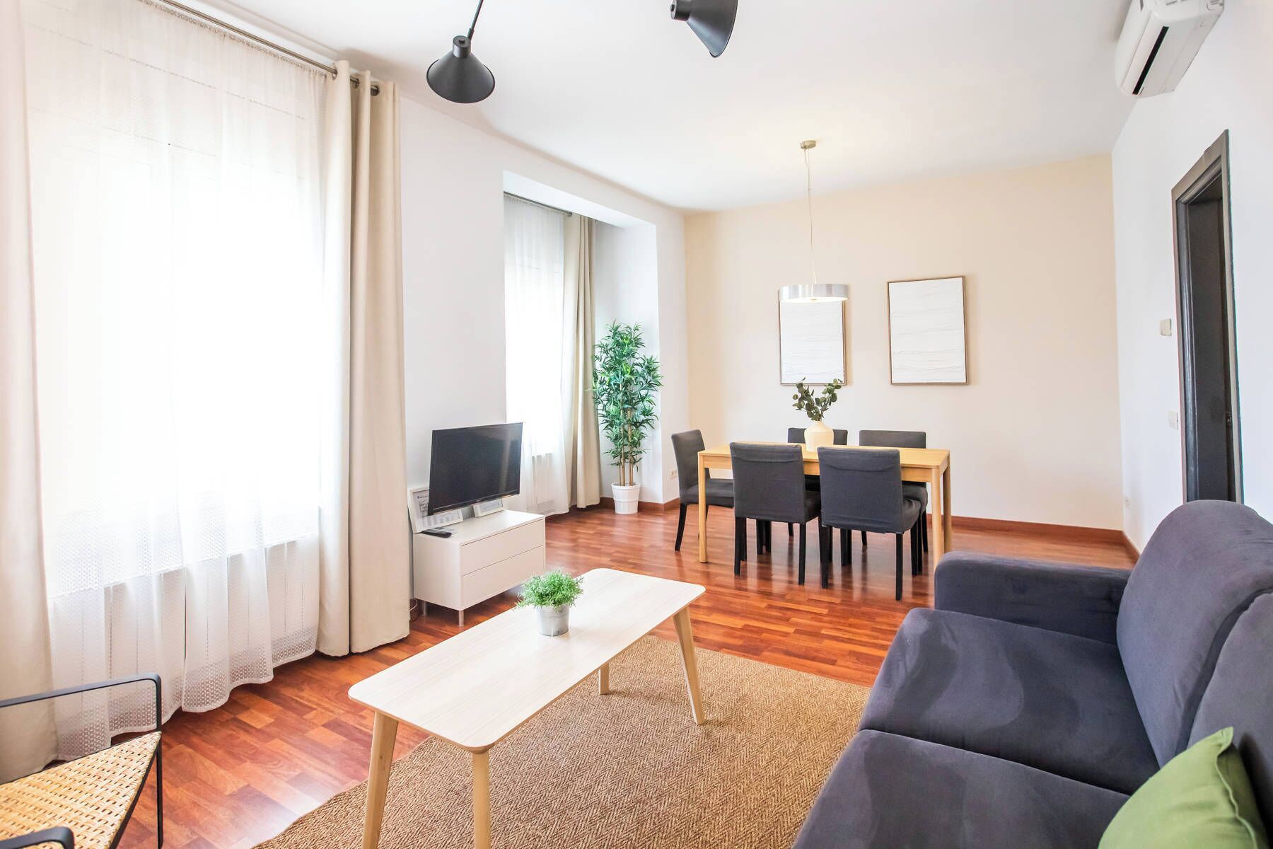 A modern living room with a sofa, a TV, a dining table with chairs, and a potted plant.