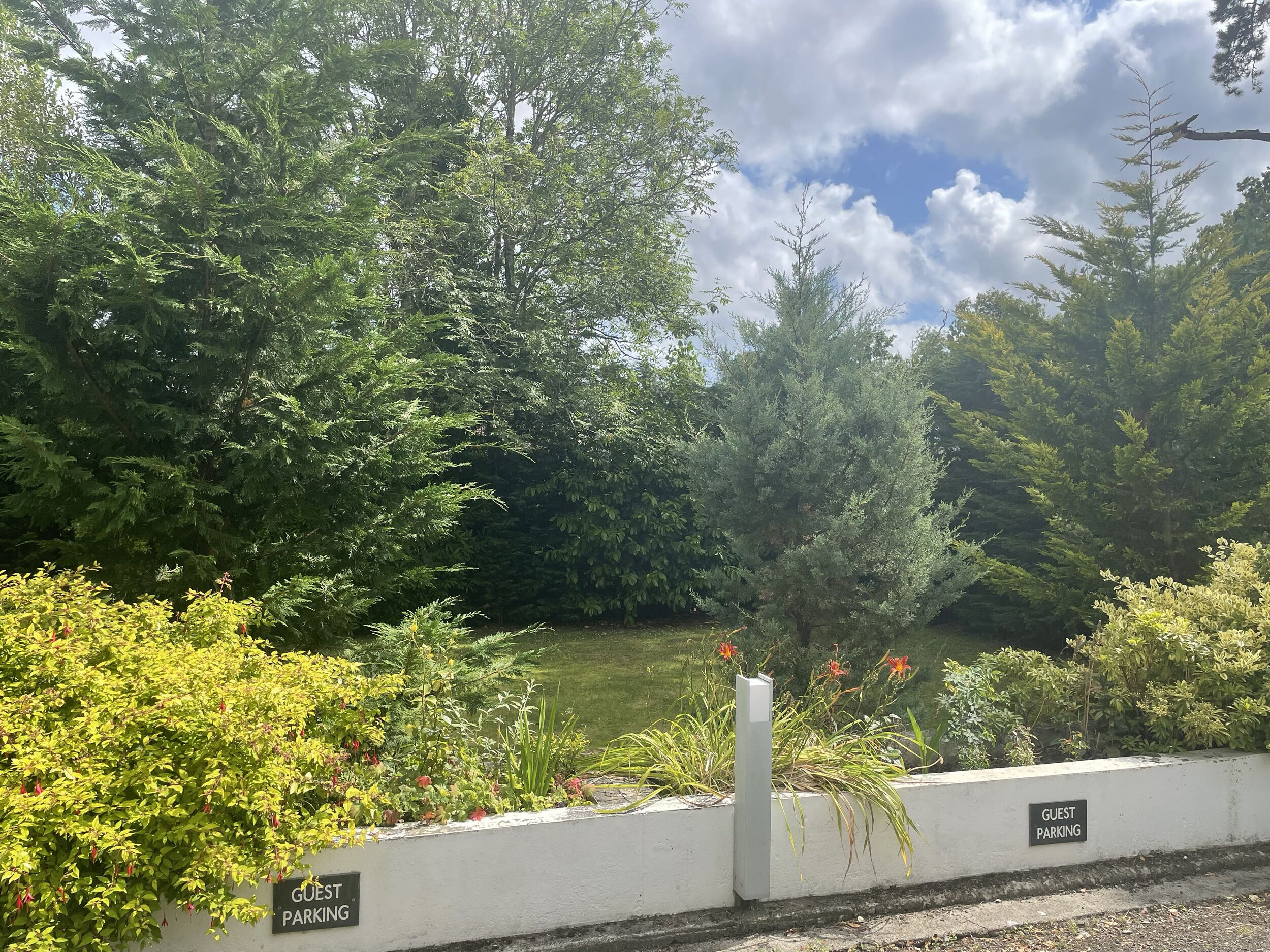 A garden area with a sign indicating guest parking.