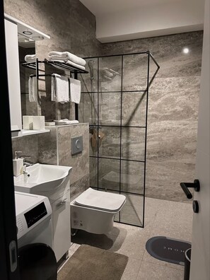 Shower, hair dryer, bidet, towels