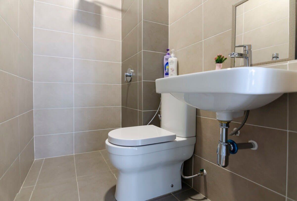 A bathroom with a toilet, sink, and a small potted plant on the sink.