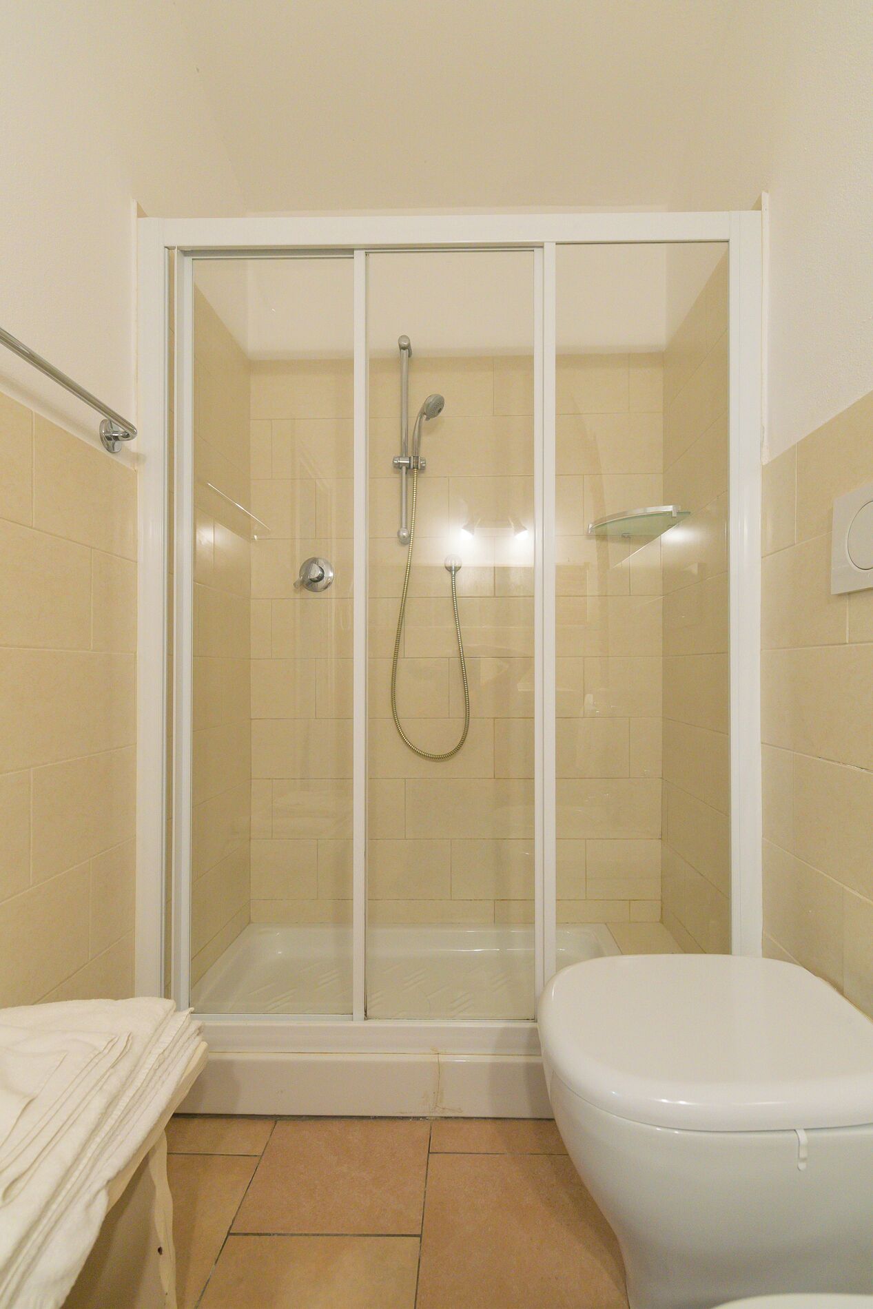 A bathroom with a glass-enclosed shower, a white toilet, and a towel rack.