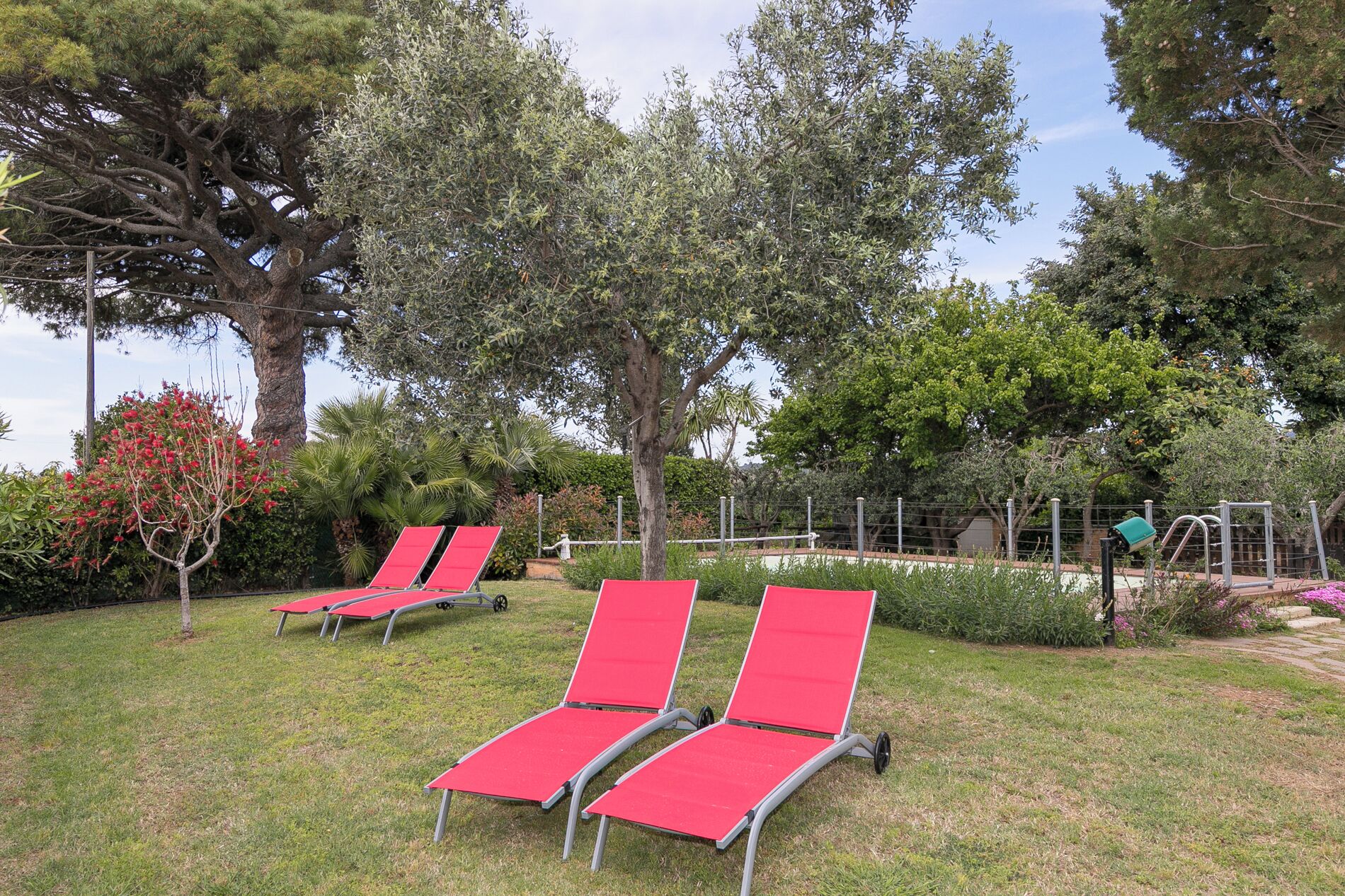 Outdoor lounge chairs in a garden with trees and a fence.