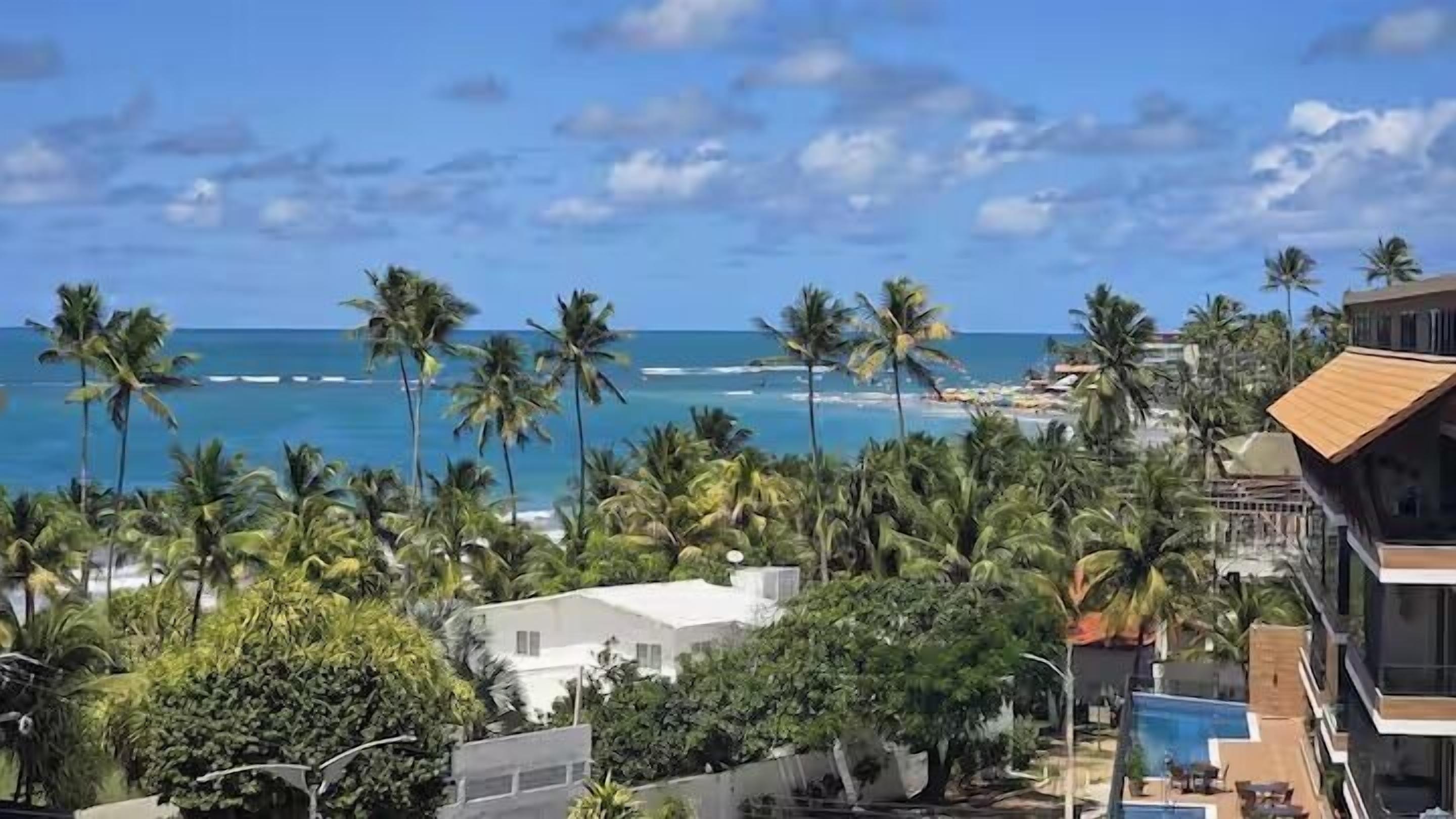 Une vue sur la côte, avec des palmiers, une plage et un bâtiment doté d’une piscine.