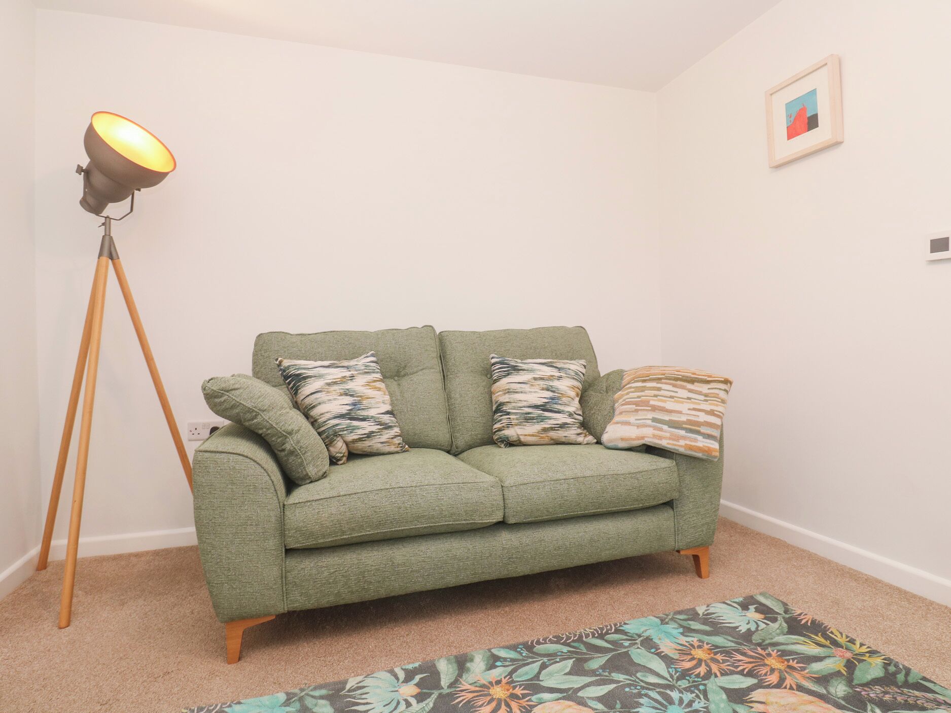 A green sofa with patterned cushions, a floor lamp, and a floral rug in a room with plain walls and a small framed picture.
