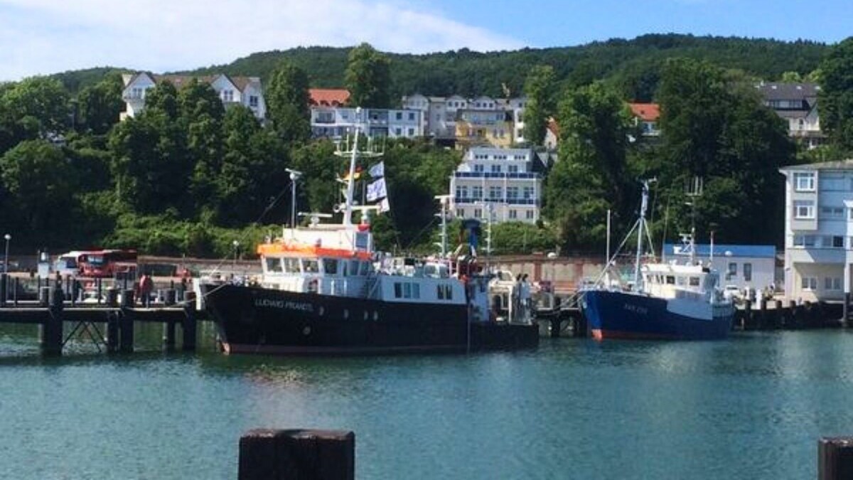 Värdens profilbild