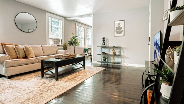 A living room with a sofa, coffee table, and a large mirror. There are windows, a plant, and a bookshelf. - A brick's throw away to Sally's Apizza! (New Haven)